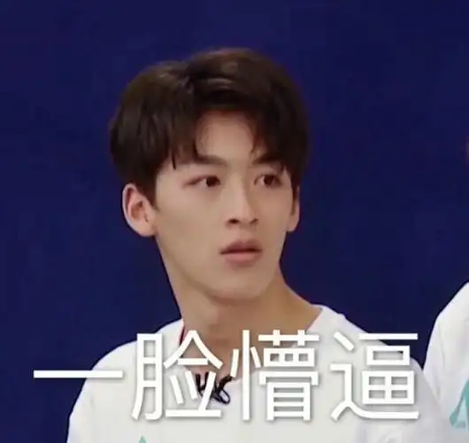 r1se沙雕表情包(群向)