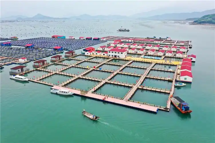 渔船经过福建省宁德市霞浦县溪南镇七星海域转型升级的深水网箱养殖区