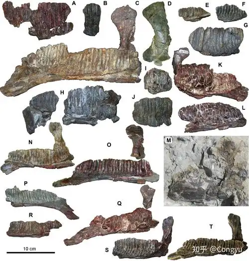 西班牙的鸭嘴龙化石点