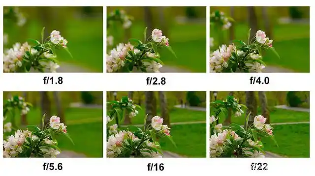 在其他条件相同的情况下,光圈越大,景深越浅;光圈越小,景深越深