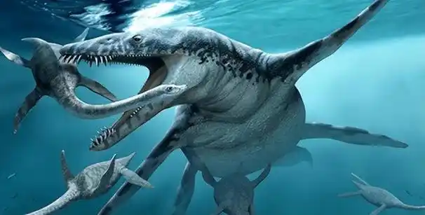 曾经的海上霸主沧龙就是"有鳞目",和森蚺也属于同宗同源,所有蛇在上古