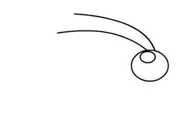 昆虫记中灰蝗虫的简笔画