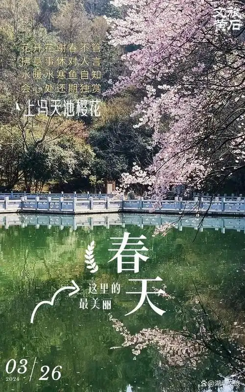 黄石邀你上春山#"律回岁晚冰霜少,春到人间草木知"雨水暂歇明媚的