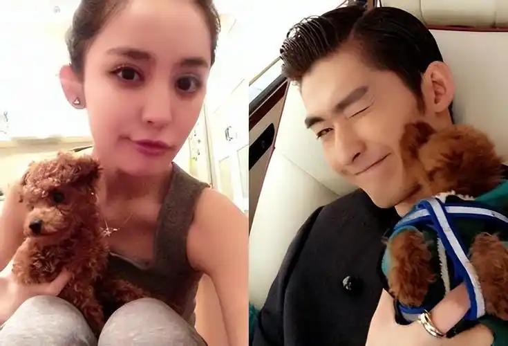 张翰古力娜扎("霸总"张翰,与古力娜扎恋爱双方背负骂名,分手五年两