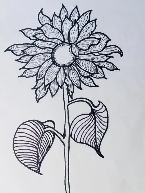 六上,我们的黑白画作品.