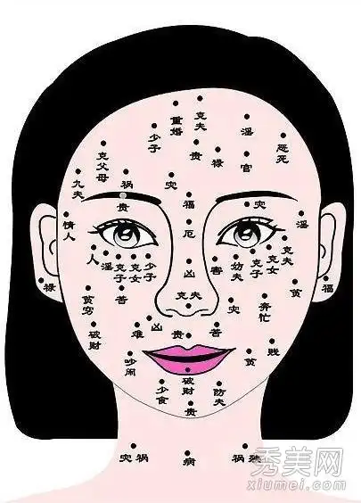 博必发娱乐真人