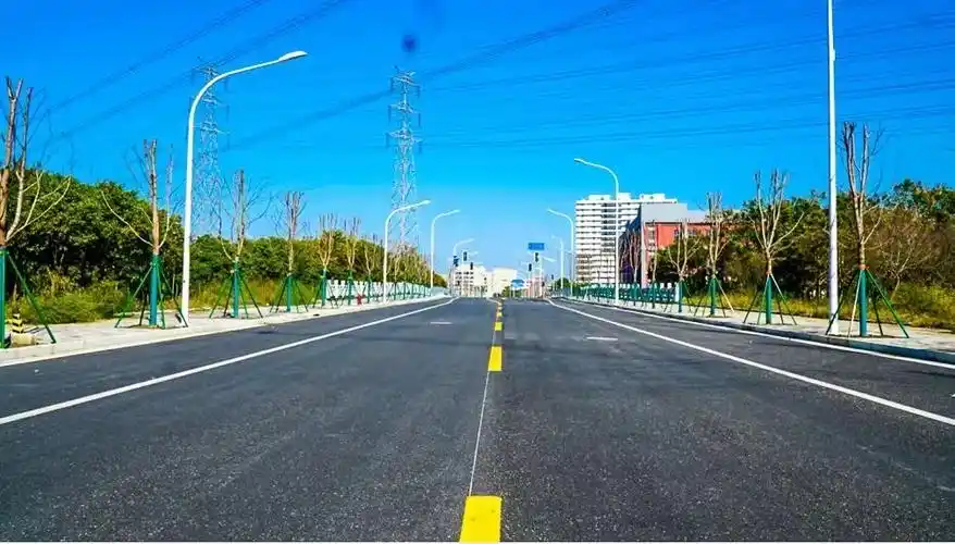 松江这条路通了!未来将建成红枫景观大道