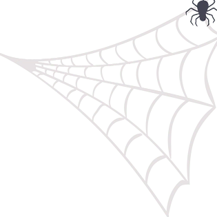 蜘蛛网蛛丝蜘蛛网元素