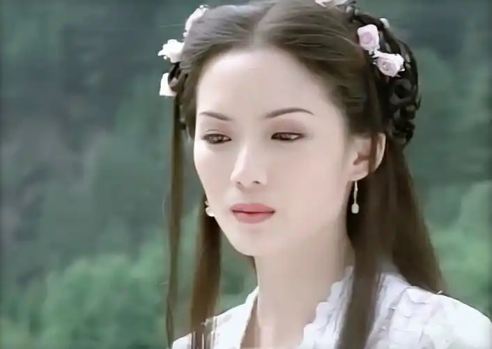 郑秀珍东游记何仙姑