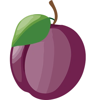 矢量手绘李子素材