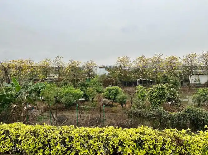 全网最全!佛山南海花卉博览园打卡攻略来啦