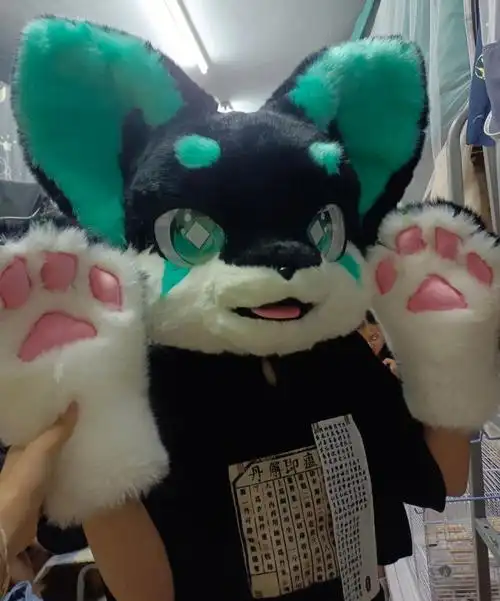 兽装掉落已预定