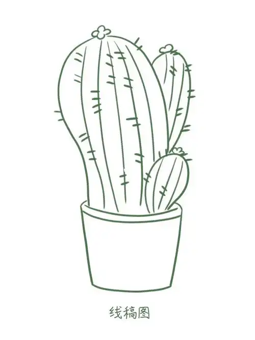 仙人掌插画91线条画太久终于开始上色打卡了~临摹的@插画喵新手日记