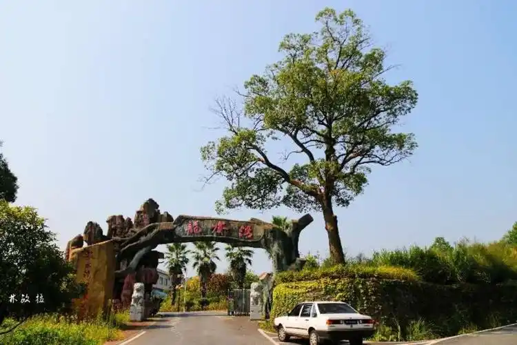 龙水湾农业生态园掠影(9月8日)