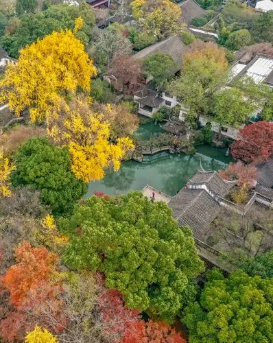 苏州留园的秋色