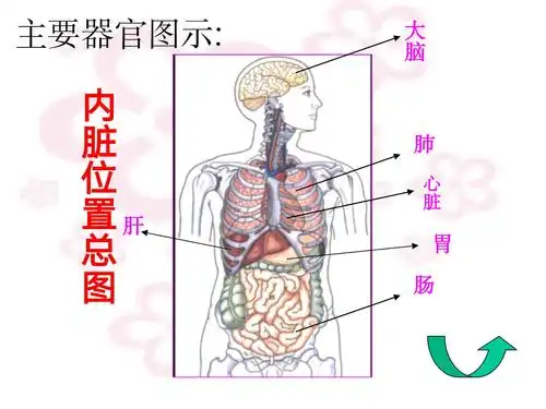 探索快乐的周一 - 美篇
