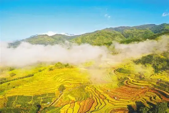 五指山市毛阳镇牙胡梯田风景如画