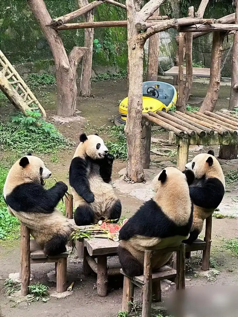 没p图 一点没有[滑稽][滑稽][滑稽]