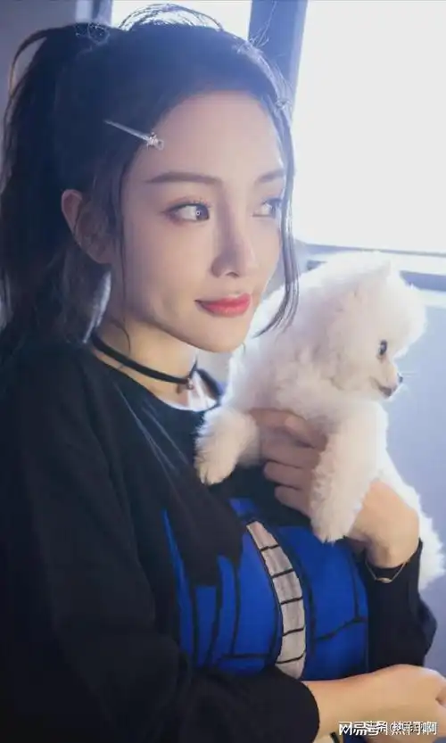 李小璐离婚后换发型师发型越来越漂亮似芭比娃娃