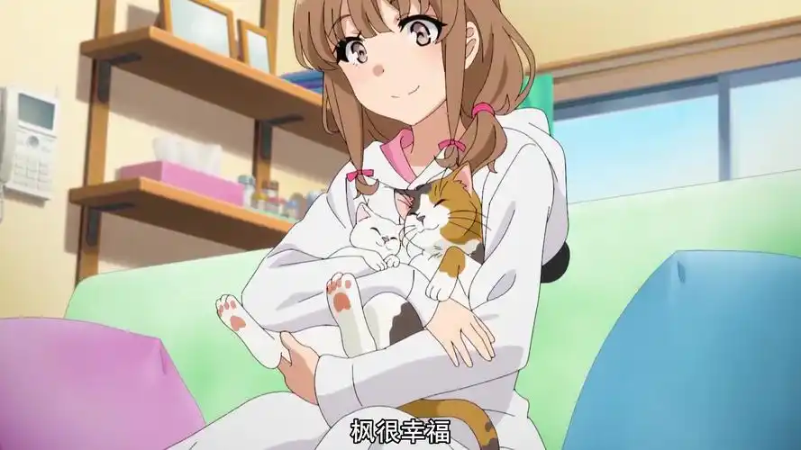 青春猪头少年/这样的妹妹 你也想拥有吗