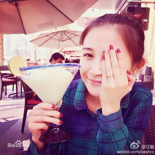 汪聪的演艺经历