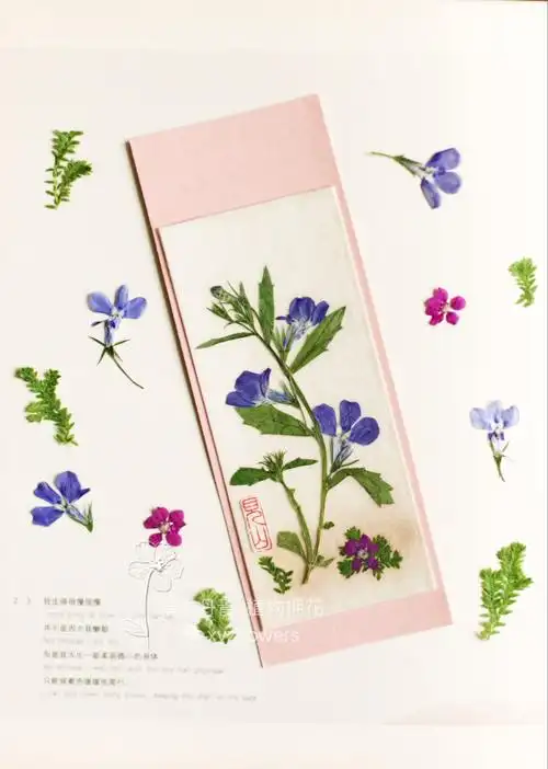 【新手入门】5种押花书签贺卡的经典设计和制作