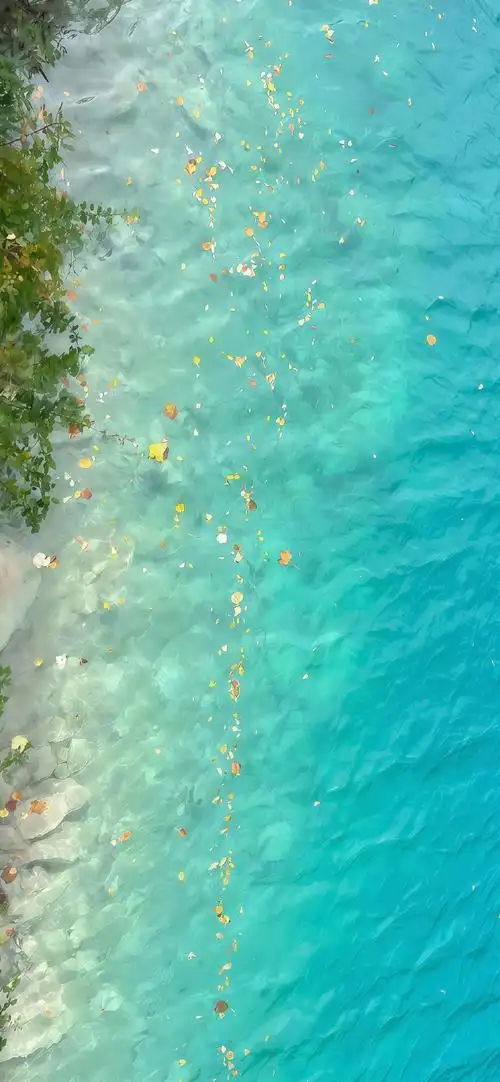 超清晰的夏天清新壁纸呀.ᐟ.ᐟ