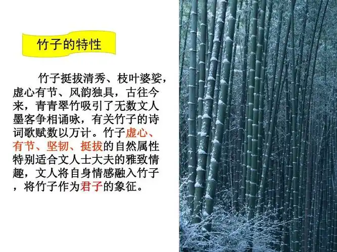 竹子虚心, 有节,坚韧,挺拔的自然属性 特别适合文人士大夫的雅免费