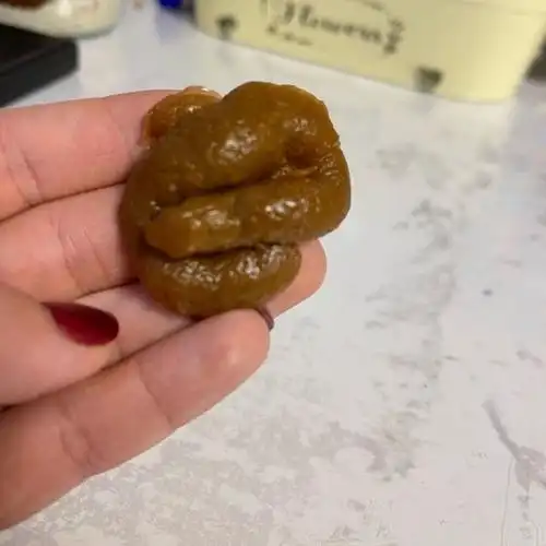 屎粑粑道具仿真假大便沙雕玩具搞怪整蛊一坨屎恶心的东西愚人节礼盒装