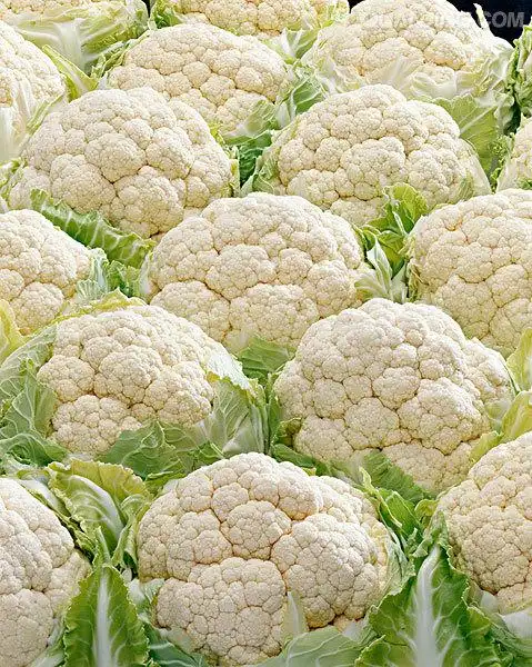 花椰菜
