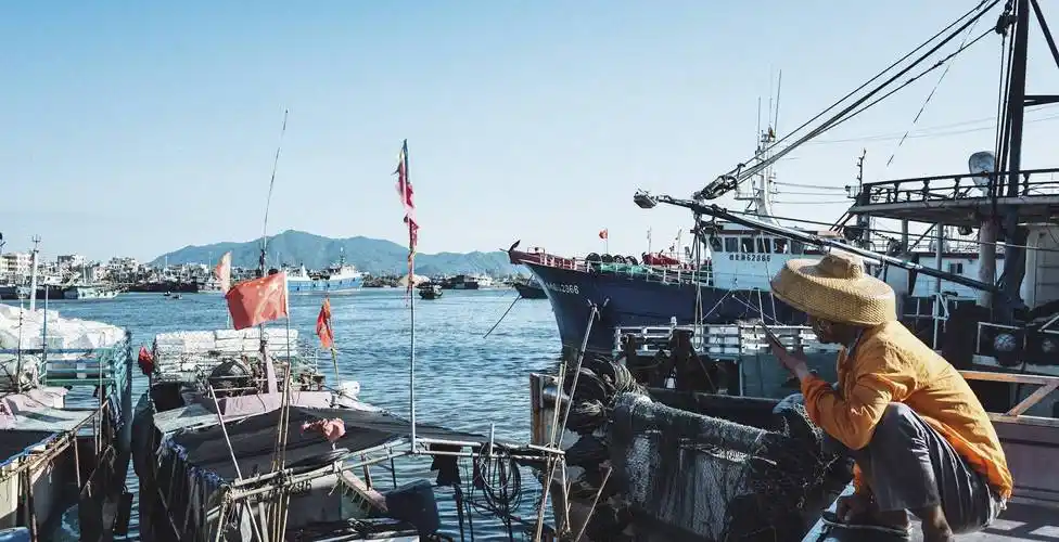 三亚崖州中心渔港,我国最南端规模最大渔港,海鲜种类超多超便宜