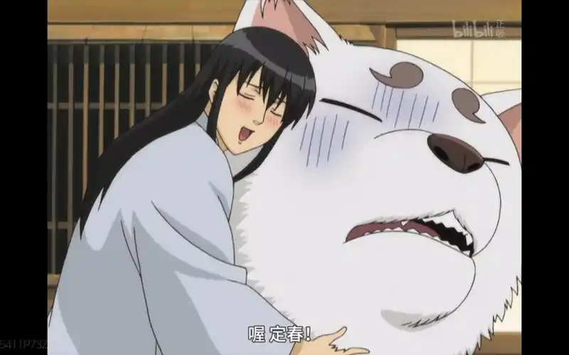 《银魂》汪汪队立大功i定春