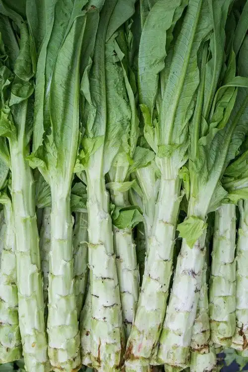 青笋原价2.50元.全天特价1.50元.