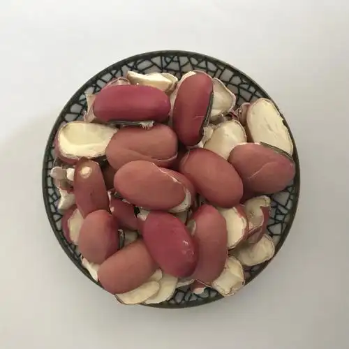 红刀豆 中药材红刀豆 刀豆种子 魔豆500克 有白刀豆,黑刀豆.