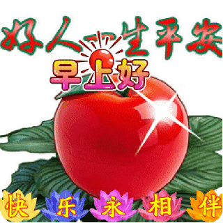 早上好表情图片2021创意好看的夏日早安问候祝福动画表情包