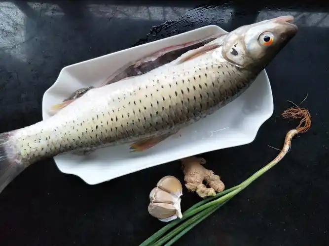 红眼鱼怎么做好吃关于红眼鱼怎么做好吃相关内容