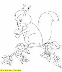 松鼠简笔画 | 红豆饭小学生简笔画大全