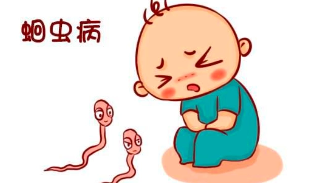 蛔虫图片