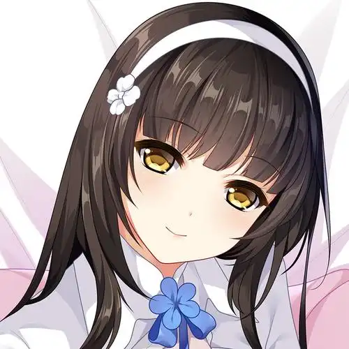 萌漫次元 动漫周边二次元少女前线全身等人高95式动漫等身抱枕套