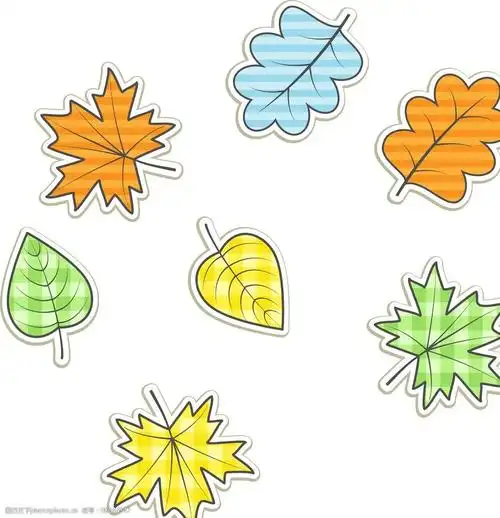 卡通手绘树叶图片