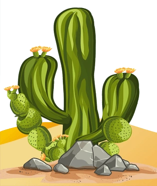 沙漠植物图片大全