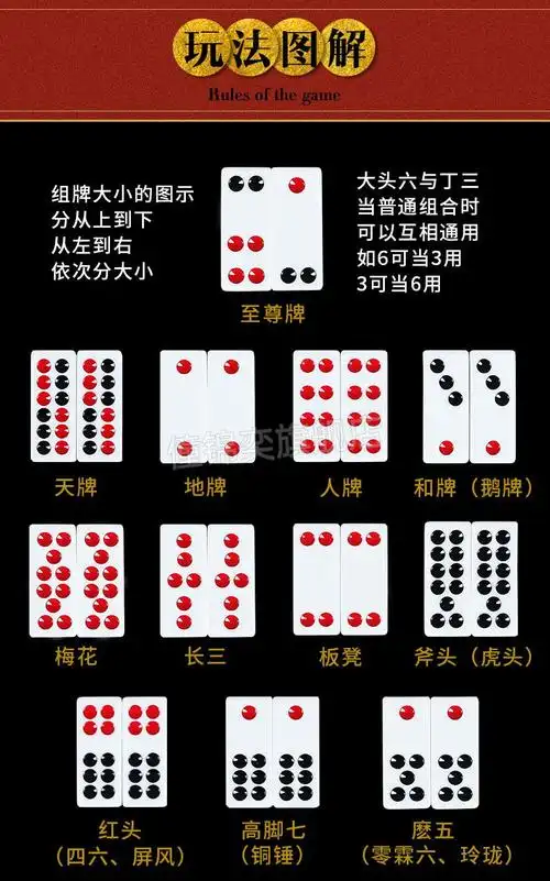 骨牌天九牌牌九牌家用骨牌天九推牌竹丝成人特大排九古牌长牌色子 20