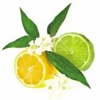 青柠图片头像 唯美小清新青柠头像_微信头像图片大全