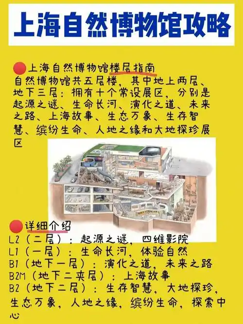 上海自然博物馆游玩攻略,上海自然博物馆行李寄存的地方_生命_地下
