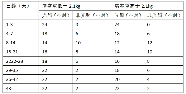 若雏鸡体重过小,可延长光照时间1-2天.