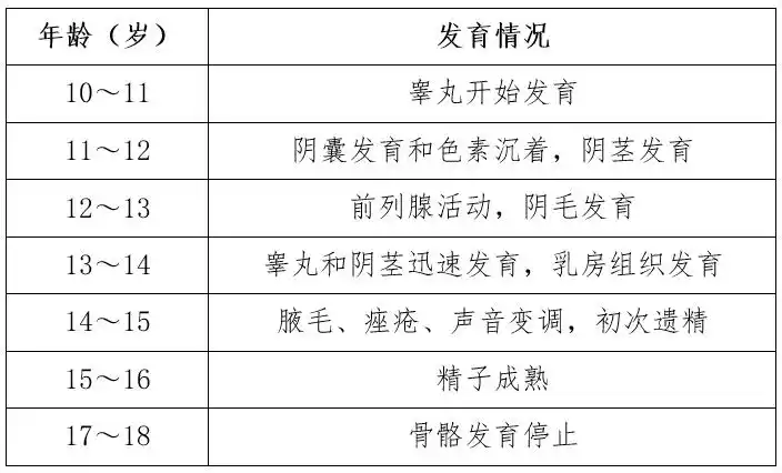 表2:男孩性发育的过程和平均年龄