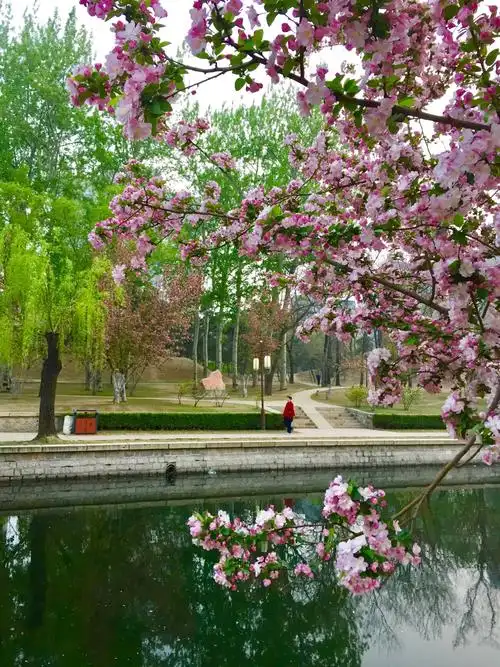 海棠花溪一摄于北京元大都遗址公园