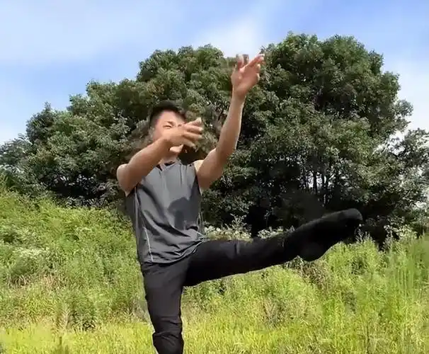 湖南一男子户外做操,挑战"叶问蹲",网友看后直呼是个高手|一字马|咏春