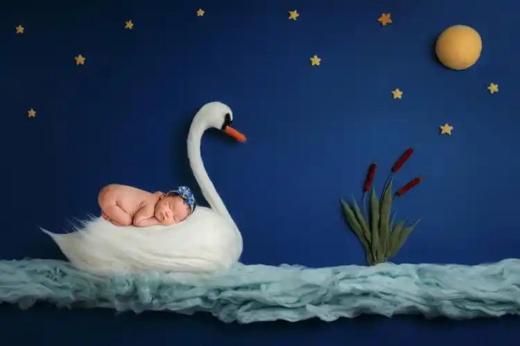 创意满满的新生儿摄影_摄影_新生儿_中国风_小香风_全家福_百天照