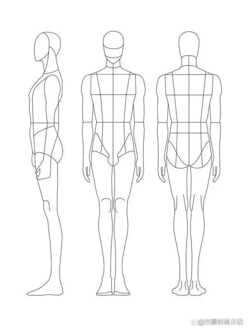 第十二课:正面男性人体的画法